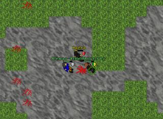 pkingTrimera