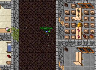 Edron Thorer sneak