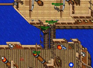 kurwajebanytibia