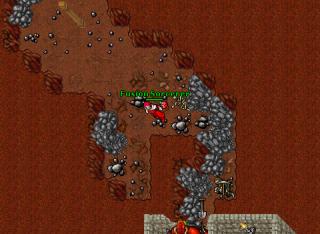 Fusion pk nichio 25434