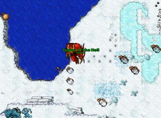 Junior of the Hell · Tibia 8.40