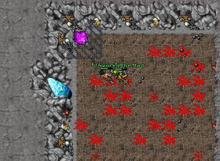 arena 27506