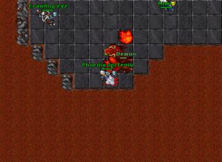 Phoenix del fenix · Tibia 8.40