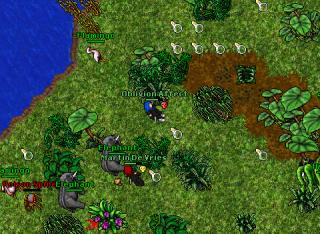 oblivion 3 10331
