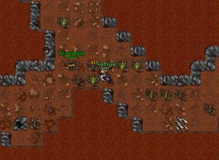 nofioxdlhunt