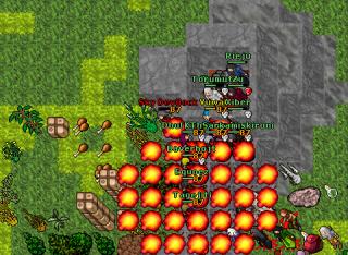 War Alli vs DS 03