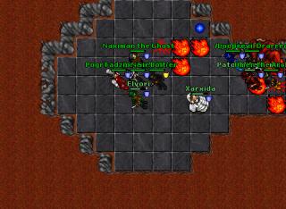 Elvori · Tibia 8.50
