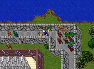 Norki Clearing Elvenbane
