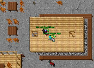 Flam UE Test Top Mage Amera