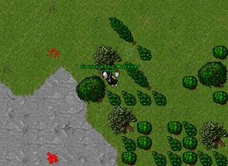 Grzana the Warrior · 4 Oct 2006