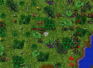 Hide-lizardurn