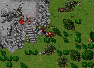 wyverns