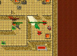 Zoltarex Sorcer