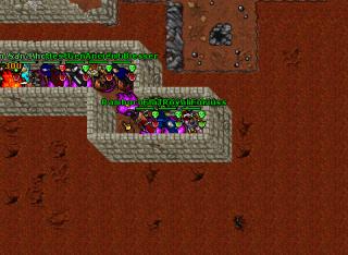 Flaya Dran · Tibia 8.54