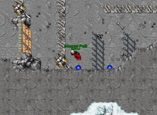 arena I