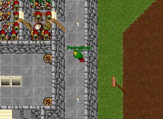Pedrelitos · Tibia 7.60