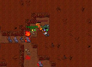 Tibia bug