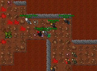 Rabster Marius · Tibia 7.60