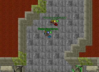 Serpentspawnzzz 13743