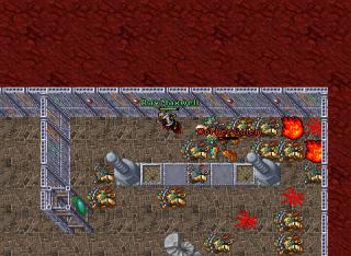 Ray Maxwell · Tibia 8.40