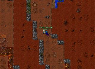 mintwallin
