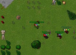 choseer 12204