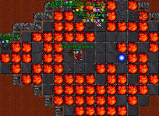 132 paladin DHQ