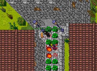 Lord of Dragonlords-159EK-Valoria-Mass Log Venore West Entrance