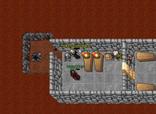 suxzenho3xnoob