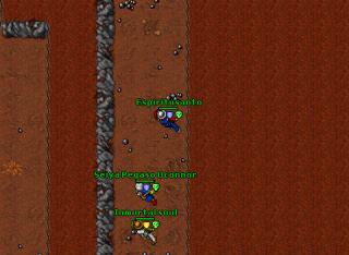 un pekeo quest 13975