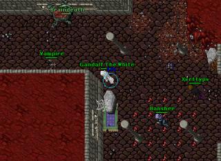 Gandalf The White · Tibia 8.41