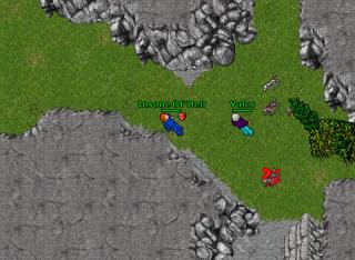 Toy Fighter Pwned