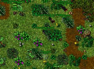 anticar war