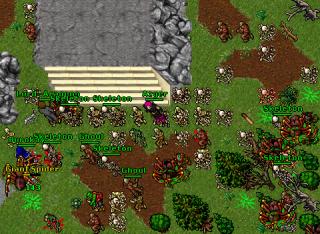 invasion poh123 24020