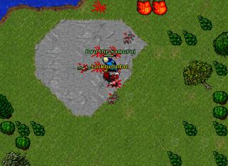 nikollek down