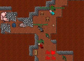 trapingrook2