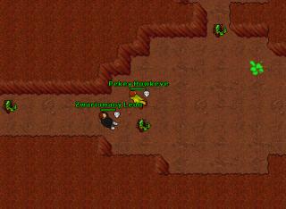 40 Druid 10156
