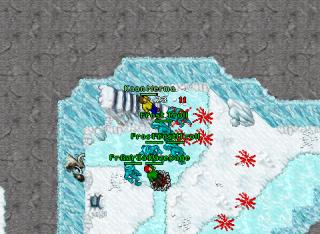 Kaan Merma · Tibia 8.41