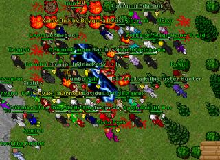 Nova fight 11