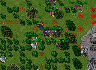 Oli'oi-113RP-Edron Battle- Stack near bridge