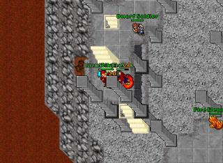 Behe questferna