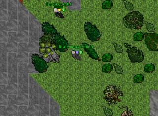 dragvsgratz