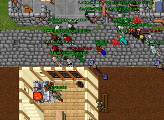 noob-pkzenho-pol