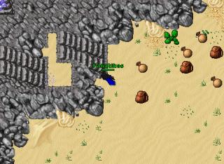 Fanatikos · Tibia 8.54