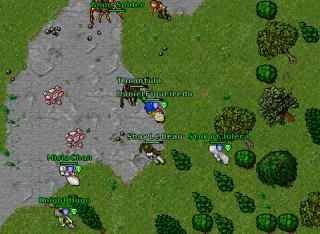 Daniel Figueiredo · Tibia 7.92