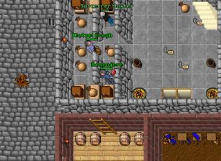 TH on elysia