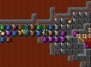 Miwopod · Tibia 7.24