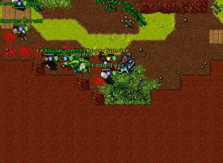 goromagsisland 13562