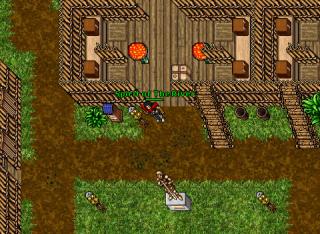 32druid apes