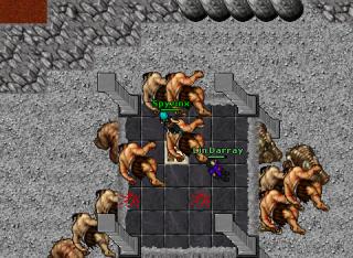 BeheSolo Mort 11881